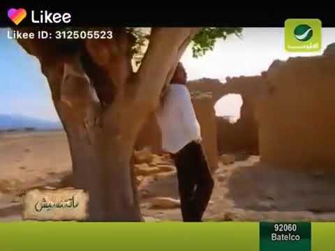 ياعمري اه ياقلبي انسا