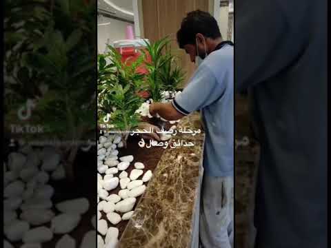 حجر الزينة جميل جدا حول النبات