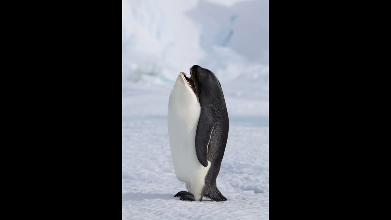 msi gtx 660 fan noise