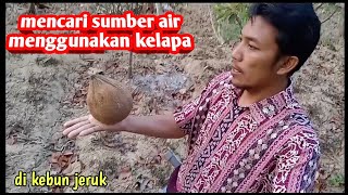 how to find water sources with coconuts
