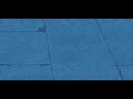 ベースコピー用 Amasan かずき山盛り