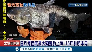 天才小釣手4ni?!  日月潭釣出巨無霸大頭鏈 130公分長45斤重前所未見 │記者 吳崑榆│【LIVE大現場】20201214│三立新聞台