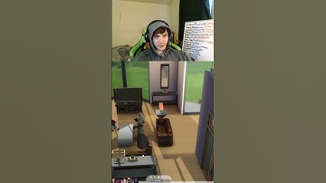 BUSH! | The Sims 4 With Crowd Control | Twitch: ChunksterChunkus