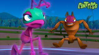 Wrestle Hero | Antiks🐜 | Funny Adventure Cartoons for Kids | Be Brave!