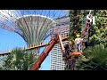 New coat for 18 Supertrees at Gardens by the Bay on Apr 08, 2022