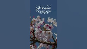 سورة الأحزاب الآية (56)