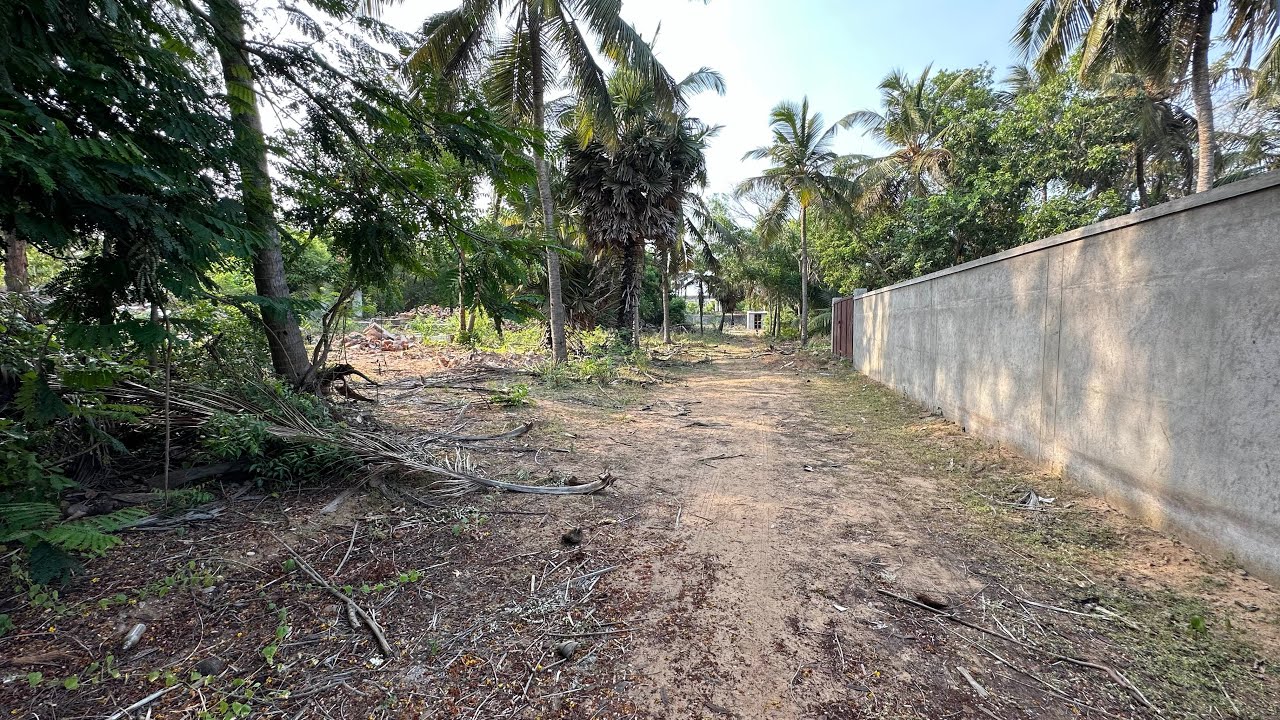 ID 1216 Beach View Plot sale in Kovalam ECR East Facing 60 Ft