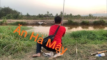 Câu Cá Rô Trê Vàng Thiên Nhiên Tập 15 Vừa Câu Tay Vừa Cắm Câu Trúng Lớn Rồi Mọi Người Ơi