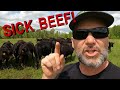 Government Lies! Farmer&#39;s Furious rant! YOU may be eating SICK animals!