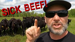 Government Lies! Farmer&#39;s Furious rant! YOU may be eating SICK animals!