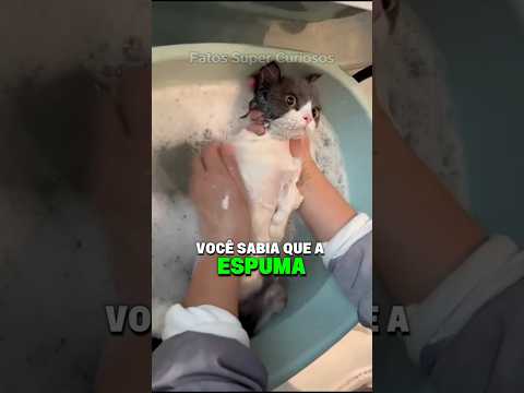 A espuma do