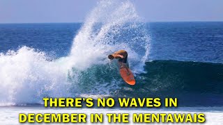 Savvy Return Guests Score Fun, EMPTY  Waves in November-December in the Mentawais