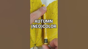 Autumn is finally here! #autumn #neocolor #carandache #colors