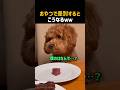 おやつで差別するとこうなるｗｗ