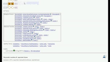 Intro to BioCyc 2009 - Proteins