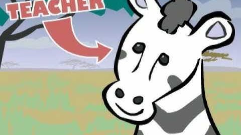 E-Z Grader Musical Tour!