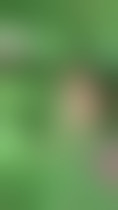 Lagi di kebun ganja milik opung