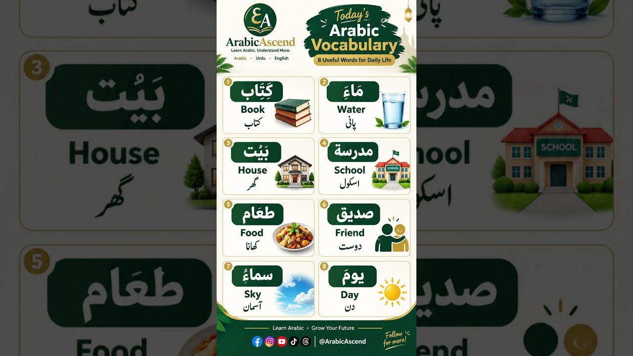 8 Arabic Words You’ll Use Every Day!  #learnarab #learnarabic #urdutoarabic  #arabicvocabulary