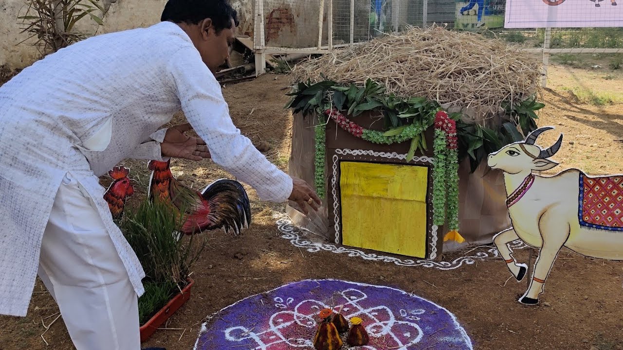 Sankranthi celebrations in IDPS school 🎒📚