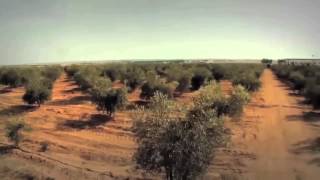 ALENTEJO, ENTRE A PLANÍCIE E O MAR - 03/07/2014