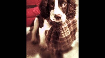 Hierarchy of Control