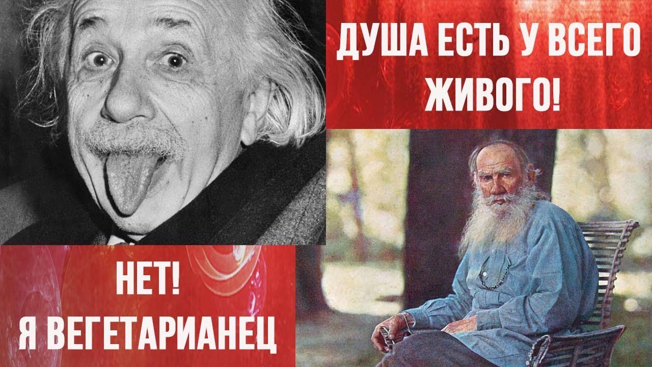 Тесла был вегетарианцем