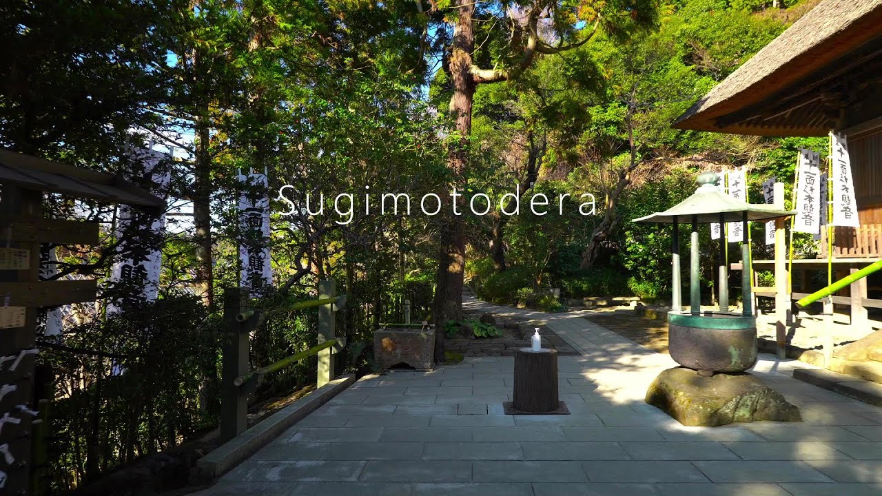 【鎌倉散歩】天平六年に創建、鎌倉最古の寺『杉本寺』へ［4K］