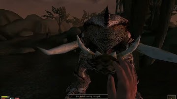 Tamriel Rebuilt Old Ebonheart Mages Guild Part 4 #morrowind #ambient #fullgameplay