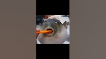 Crazy double kill meme!!no scope!! #warzone #mw2 #shorts #modernwarfare2 #noscope #fyp #memes