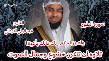 وأصبر لحكم ربك فأنك بأعيننا #سورة الطور #القارئ #عبد الولي الاركاني #تلاوه خاشعة #قرآن #راحة_نفسية