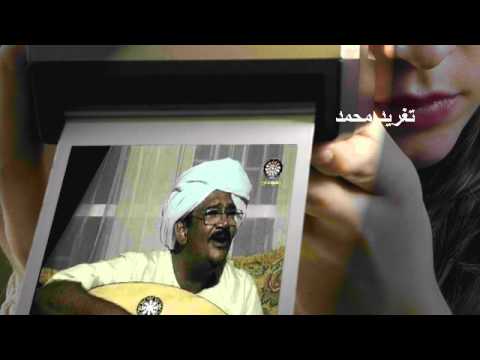 هاشم مرغنى ساعة بالعود تغريد محمد