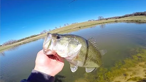 Pond Hopping at Gary Yamamoto's Fishing Ranch