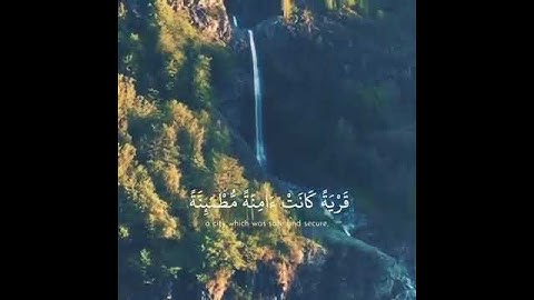 تلاوة خاشعة🌷 للشيخ عبد الرحمن مسعد❤ارح سمعك🎧😭