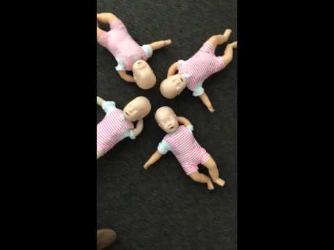 IMG 1996 MOV