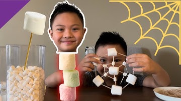 Building Shapes and Structures using Marshmallows and Toothpicks | Educational Videos for Kids