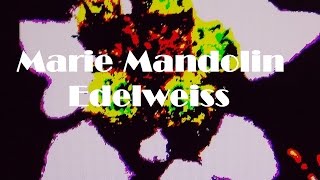 Marie Mandolin ~ Edelweiss