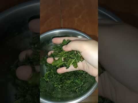 Cara Membuat Teh Daun Pepaya