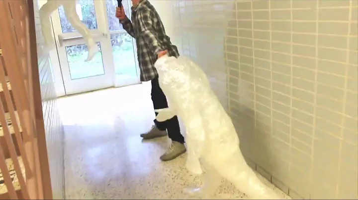 PTHS Morning Announcements Live Stream - November 10, 2017