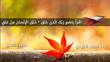 القارئ رعد الكردي _ سورة العلق