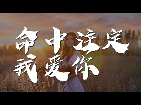 命中註定我愛你 - 雨宗林『命中註定讓我愛上了你』【動態歌詞Lyrics】