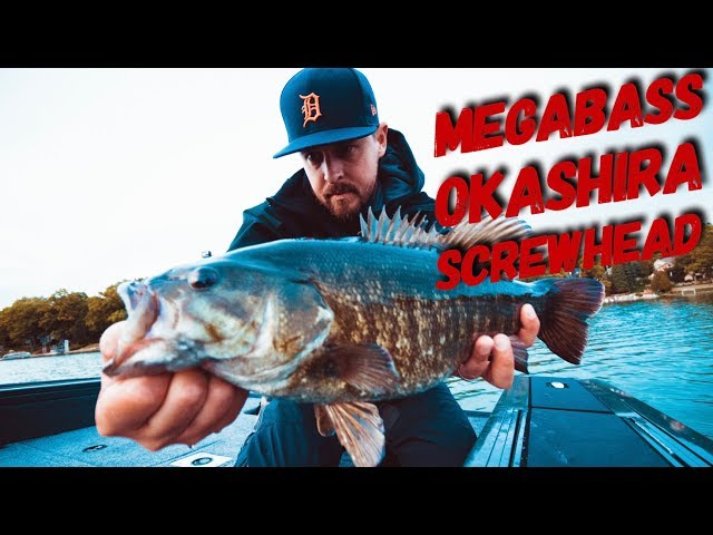 MEGABASS Okashira Screw Head - Catch LEGENDARY SMALLMOUTH Bass
