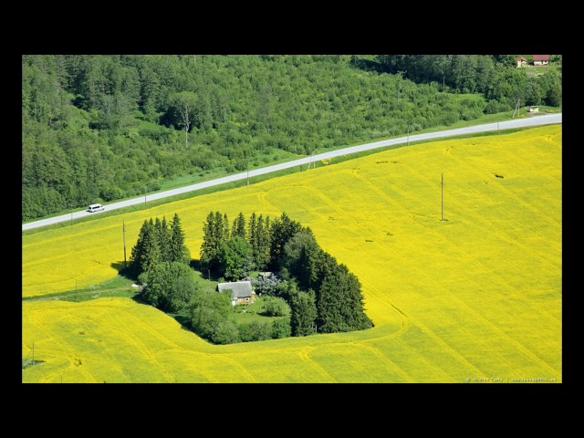 TÕNIS MÄGI - Soley, Soley