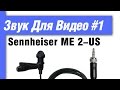 Микрофон петличный Sennheiser ME 2 US – подводные камни