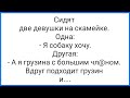 Грузин в Командировке и Наглая Пр@ститутк@!!! Смешная Подборка Анекдотов!!!