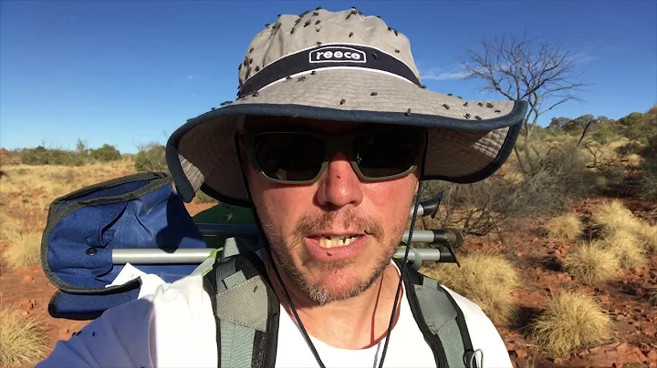 Backpacking the Gile Track with hitchhiking flies