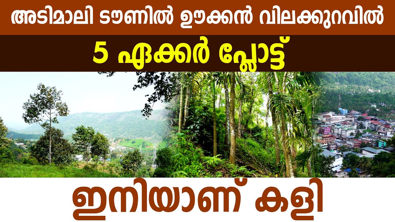കേരളത്തിലെ ഒരു ടൗണിലും ഇതിലും വിലക്കുറവിൽ സ്ഥലം കിട്ടില്ല I Plot For Sale in Adimali I Adimali I