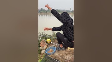 Câu cá rô đồng #câucá #fishing #longphaquế