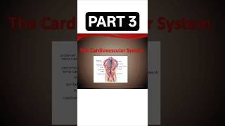 THE CARDIOVASCULAR SYSTEM🫀| PART 3 | EASY LEARN PHARMACY🔴 #pharmacist #shorts #short