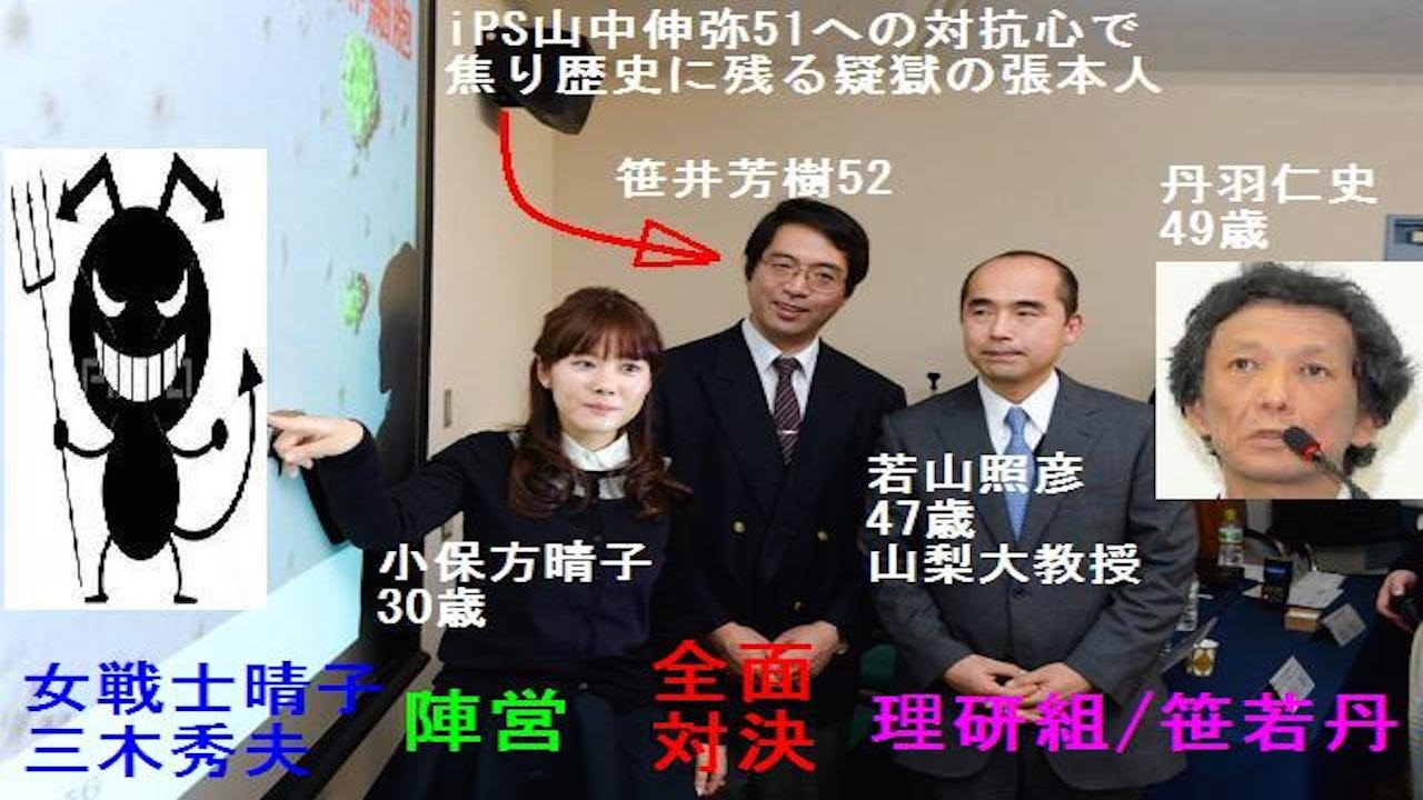 笹井 芳樹 遺書 内容