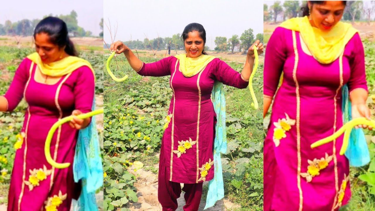 Dekho...Menu ki milia Khet cho....🙄🙄 Village Life of Punjab India 🖤 Indian rural life of Punjab